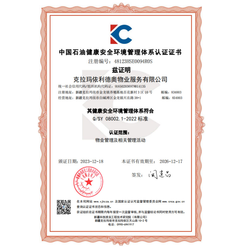 中石油健康安全环境管理体系