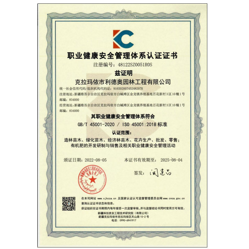 职业健康管理体系